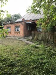 Sale houses , Davydkovcy,  Khmelnytskyi, Khmelnytskyi oblast ID 197289