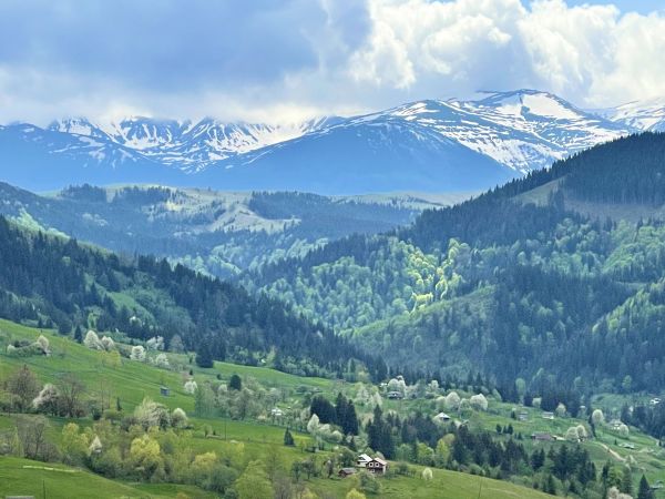 Sale land Krasnik,  Verhovina, Ivano-Frankovsk oblast ID 516538