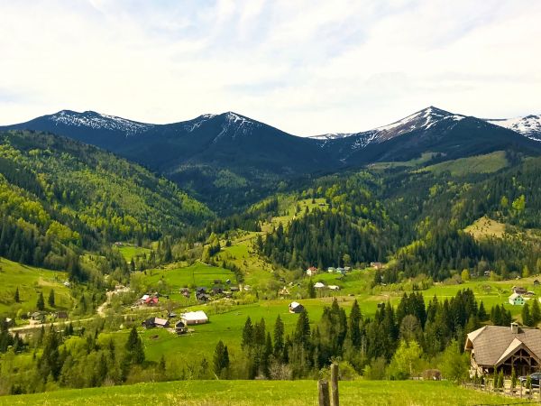Sale land Dzembronia,  Verhovina, Ivano-Frankovsk oblast ID 516539
