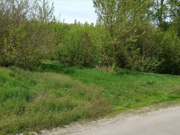 Sale land Barahti,  Vasil`kov, Kiev oblast ID 516550