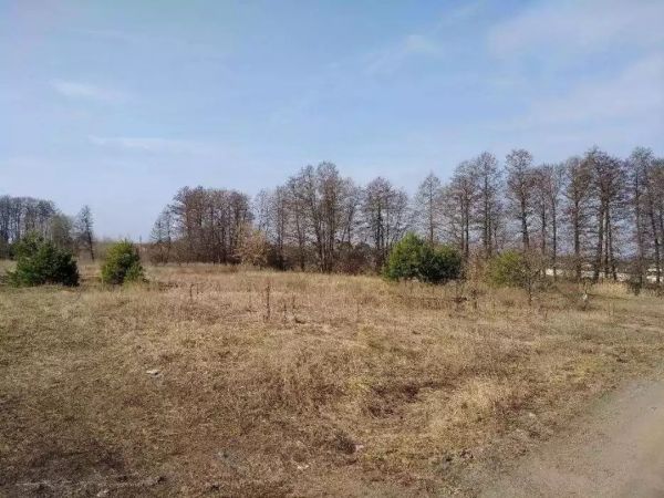 Sale land Sadova,  , Kiev oblast ID 516695
