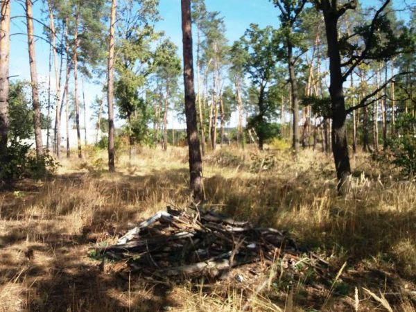 Sale land vul. Luggova,  Irpen, Kiev oblast ID 516762