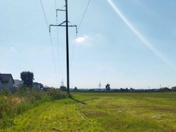 Sale land Sadova,  , Kiev oblast ID 516910