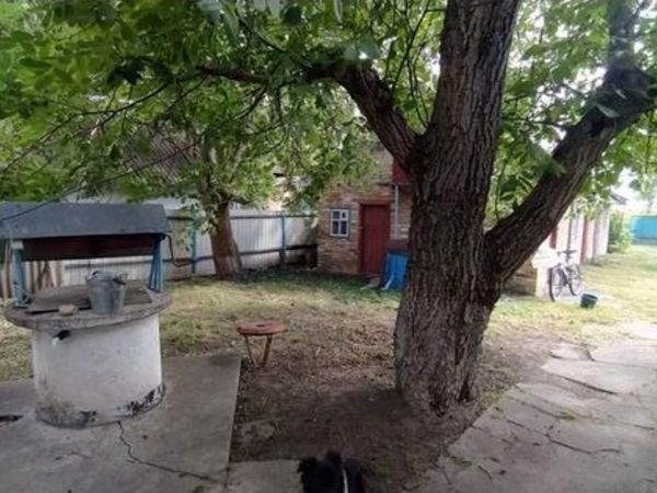 Sale houses Krasna Slobdka,  Obuhov, Kiev oblast ID 517218