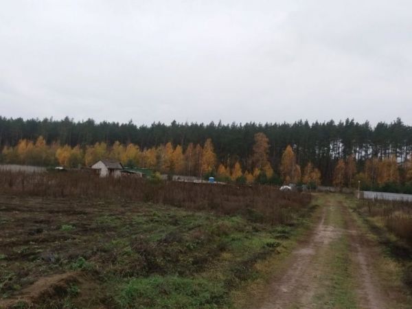 Sale land Zelenii Gai,  , Kiev oblast ID 518013