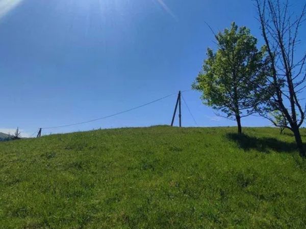 Sale land ,  Verhovina, Ivano-Frankovsk oblast ID 518048