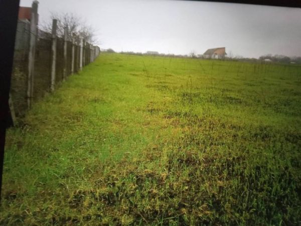 Sale land Mokrec`,  Brovary, Kiev oblast ID 519061