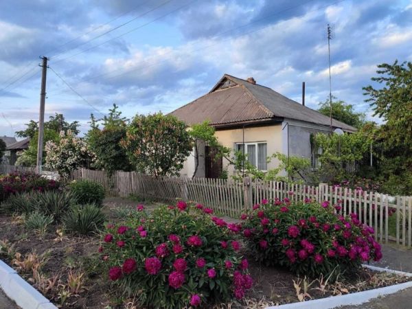 Sale houses Sin`ki,  Ul`ianovka, Kirovohrad oblast ID 519140