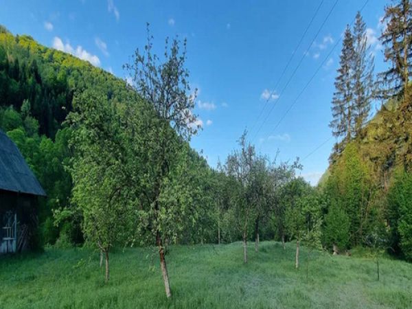 Sale land s.Tuhlia,  Stryi, Lviv oblast ID 519242