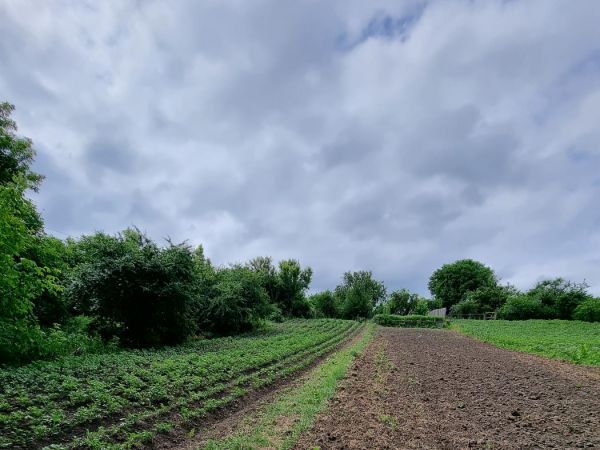 Sale land vul. SHevchenko,  Gatnoe, Kiev oblast ID 519437