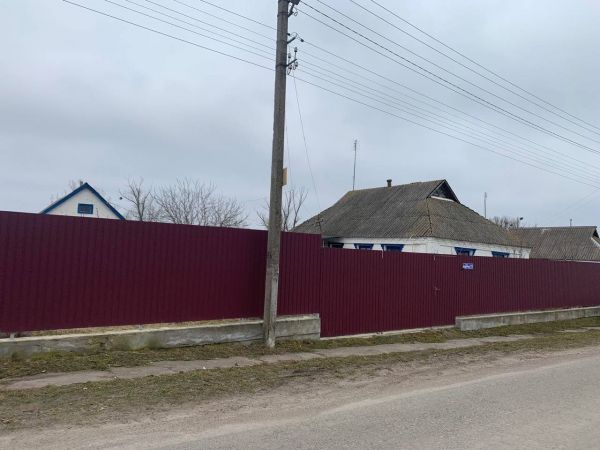 Sale houses P�shana,  Belaia Cerkov`, Kiev oblast ID 519439
