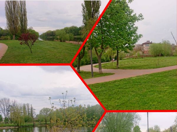 Sale land R�chkova,  Belaia Cerkov`, Kiev oblast ID 519564