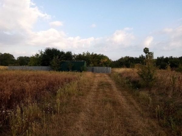 Sale land Greben�,  , Kiev oblast ID 519743