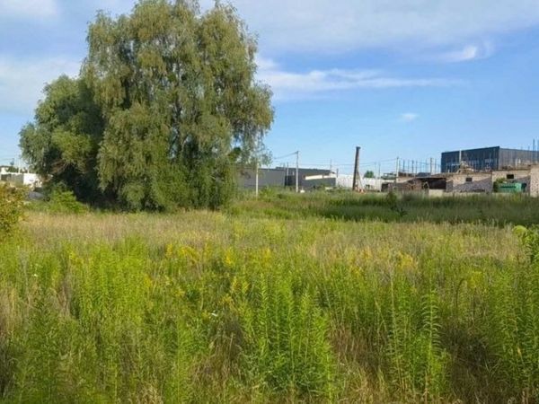 Sale land Verhovinna,  Hotov, Kiev oblast ID 519993