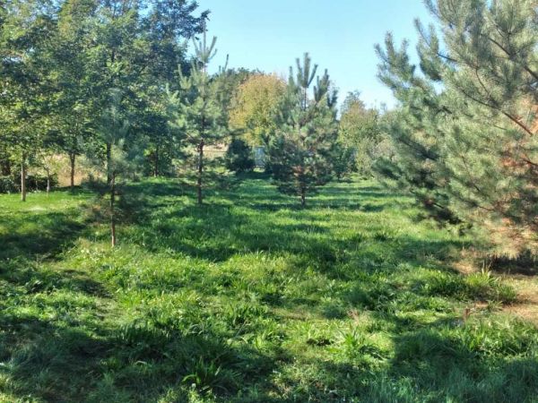 Sale houses Bobrik pershii,  Liubashevka, Odessa oblast ID 520113