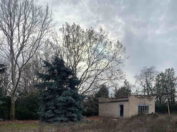 Sale commercial real estate s. Holodna Balka,  Beliaevka, Odessa oblast ID 520128