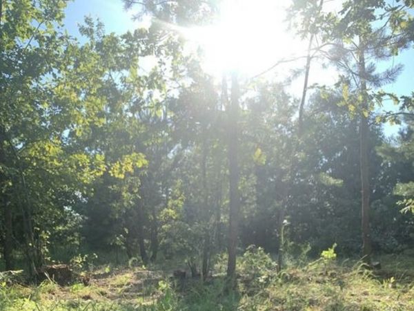 Sale land Mila,  Kiev, Kiev oblast ID 520153