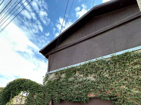 Sale houses Pereiaslavs`ka, ZHovtnevii,  Dnepropetrovsk, Dnipropetrovsk oblast ID 522037