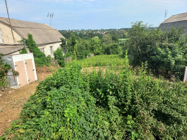 Sale land Molodzhna,  Fastov, Kiev oblast ID 526649