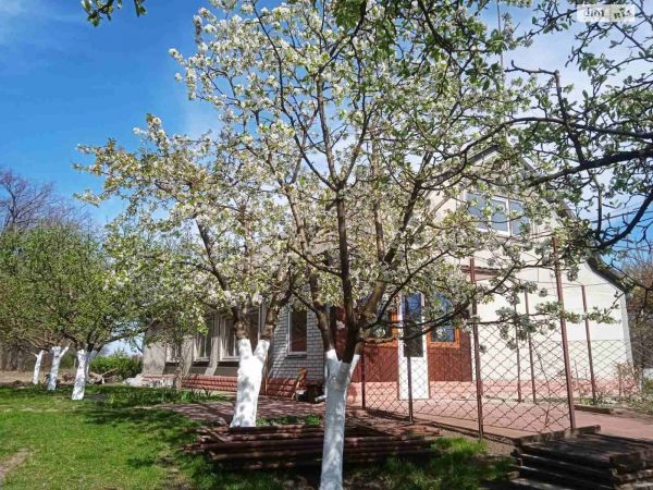 Sale houses vul. L�karniana 65, s. IAc`ki, Vasil`k�vs`kii raion, Ki�vs`ka oblast`,  Vasil`kov, Kiev oblast ID 528373