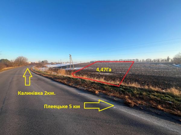 Sale land Danil�vka,  , Kiev oblast ID 528596