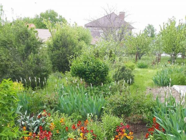 Rent houses leski,  Odessa, Odessa oblast ID 534749