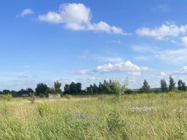 Sale land Zur�vka,  , Kiev oblast ID 535386