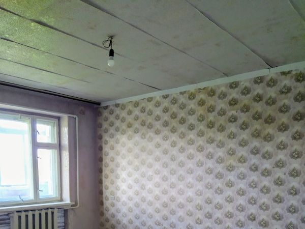 Sale partments B�locerk�vs`ka,  , Kiev oblast ID 535568