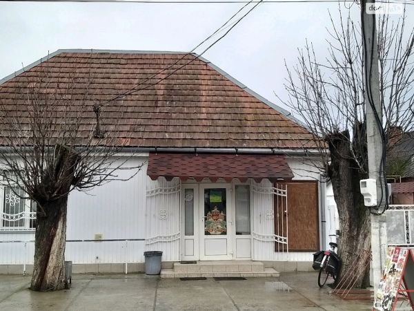 Sale houses vul. Zelena, selishe Vilok, Vinograd�vs`kii raion, Zakarpats`ko� oblast� ,  Vinogradov, Zakarpattia oblast ID 535853