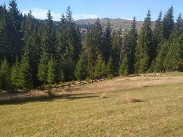 Sale land IAblunicia,  IAremche, Ivano-Frankovsk oblast ID 535927