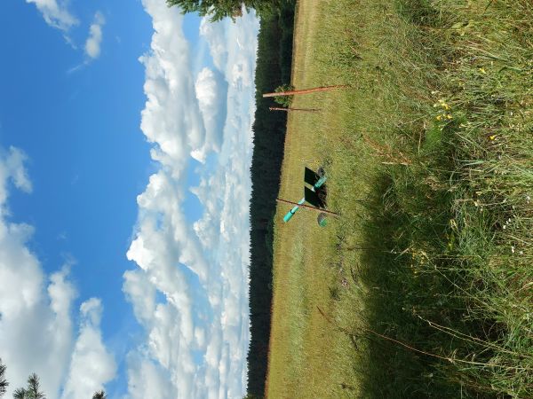 Sale land Oster,  , Chernihiv oblast ID 536327