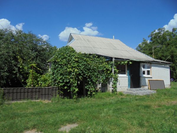 Sale houses Petrovs`kogo, 4,  Borodianka, Kiev oblast ID 536733