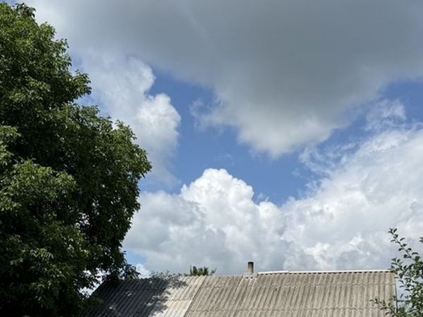 Sale houses Vasilia Stusa,  Makarov, Kiev oblast ID 537090