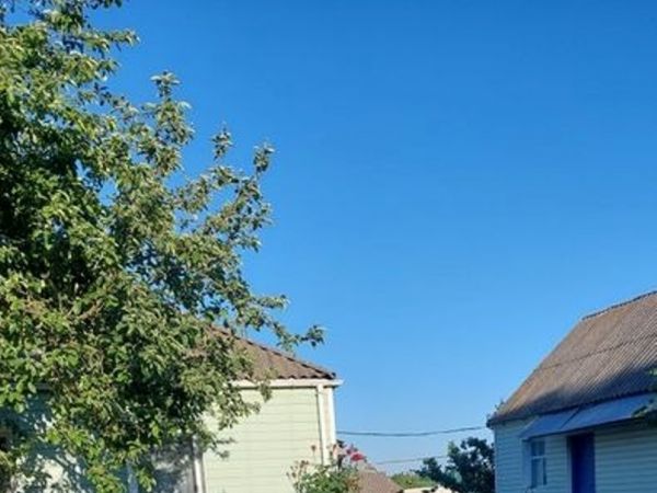 Sale houses Mala Skvirka,  Belaia Cerkov`, Kiev oblast ID 537191