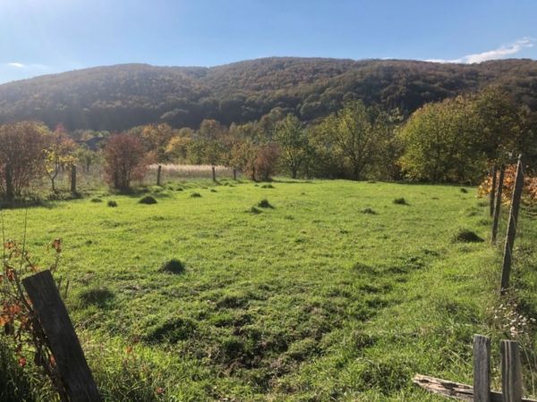 Sale land Sanatorna,  , Zakarpattia oblast ID 537221