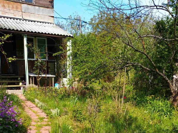Rent land ,  , Kiev oblast ID 537254
