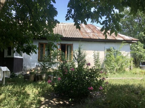 Sale houses Pilipovich,  Borodianka, Kiev oblast ID 537467